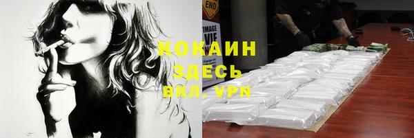 винт Михайлов