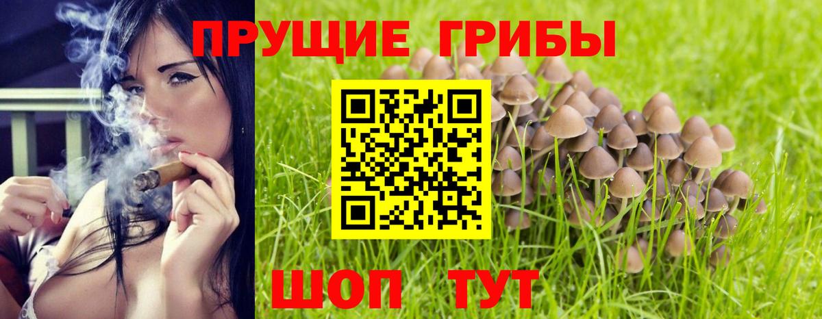 Галлюциногенные грибы мухоморы Сунжа