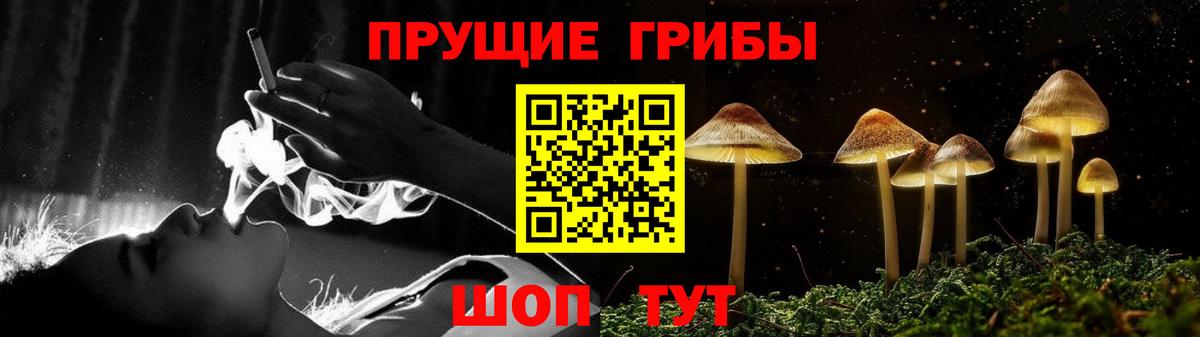 Псилоцибиновые грибы мухоморы  Галлюциногенные грибы Psilocybe  Сунжа  Вход с VPN 