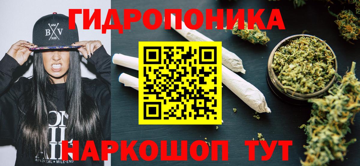 Шишки марихуана OG Kush  Вход с VPN  Сунжа  Канабис конопля  Конопля гибрид 